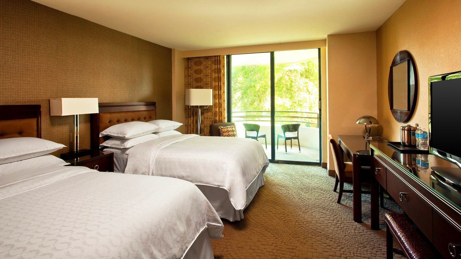 Sheraton Tampa Brandon Hotel Mango Rom bilde