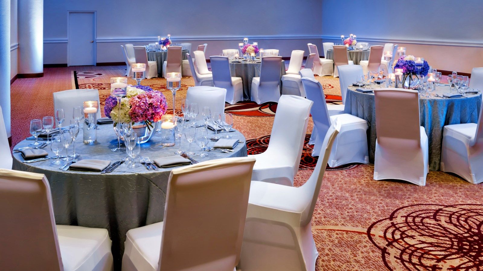 Sheraton Tampa Brandon Hotel Mango Business bilde